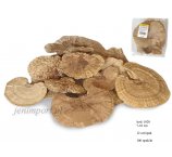 HUBA SPONGE GRZYBY MAŁE 7-10 CM NATURALNE (12 szt w opakowaniu)