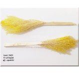 KHEJUR DATE JHAR 25-45CM ŻÓŁTY 6SZT/OPAK 