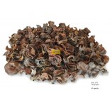 CURLY POD brązowe 100g/opak idelane do stroików kompozycji czy wypełniania wazonów