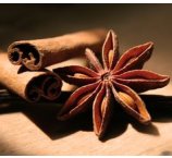 Cynamon i anyż dekoracyjny 2022