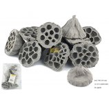 Susz egzotyczny  2022